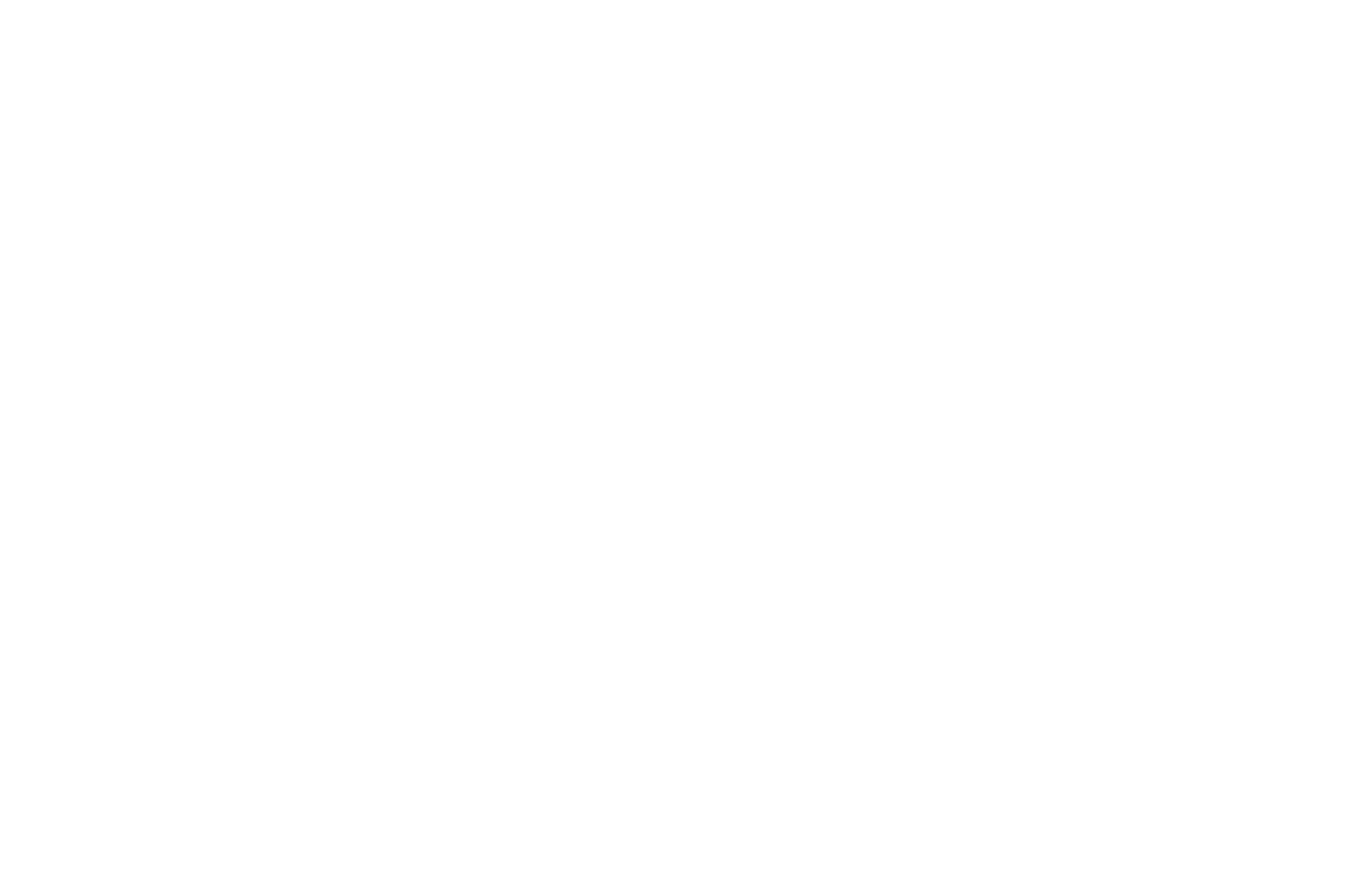 Seer Consulting Group logo